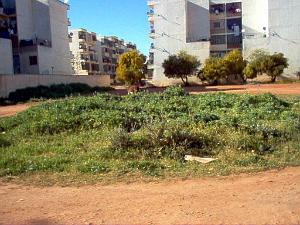 Algerie avril2005 062